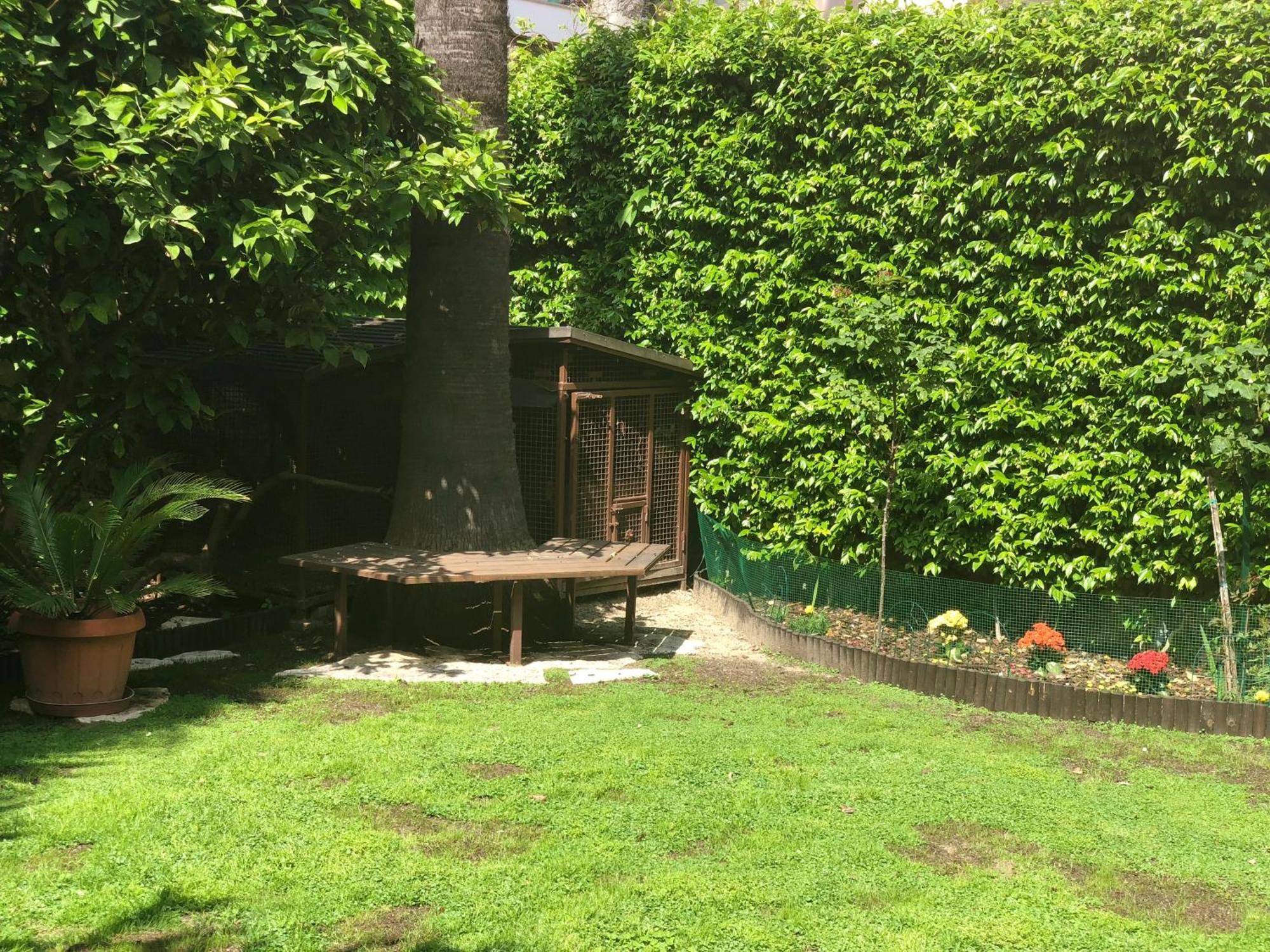 Ferienwohnung La Tana Dei Dalmatini San Benedetto del Tronto Exterior foto
